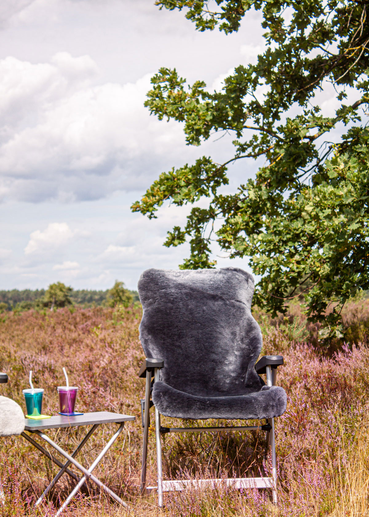 FHFV-Camping-Heide-190
